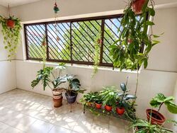 Blk 233 Pending Road (Bukit Panjang), HDB Executive #626042151